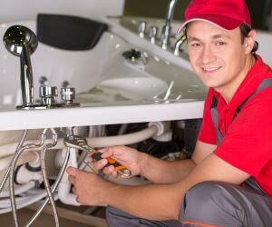 About Plumbers Pros Thornfield, MO